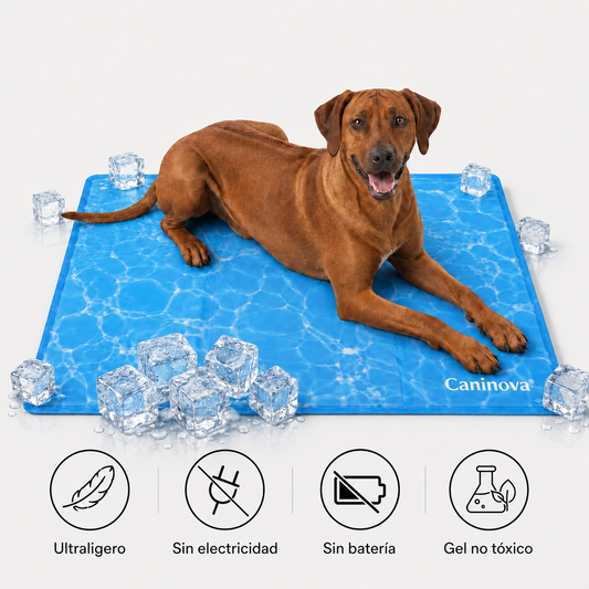 CoolingMat Fresh - Caninova